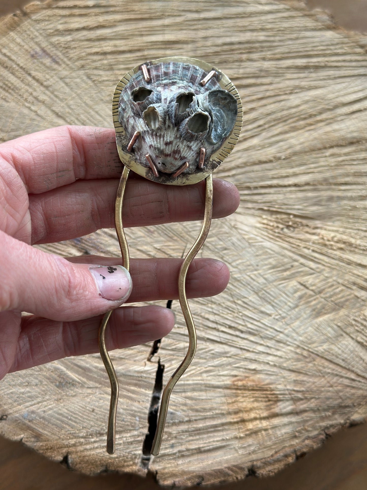 Barnacle and Scallop Hair pin