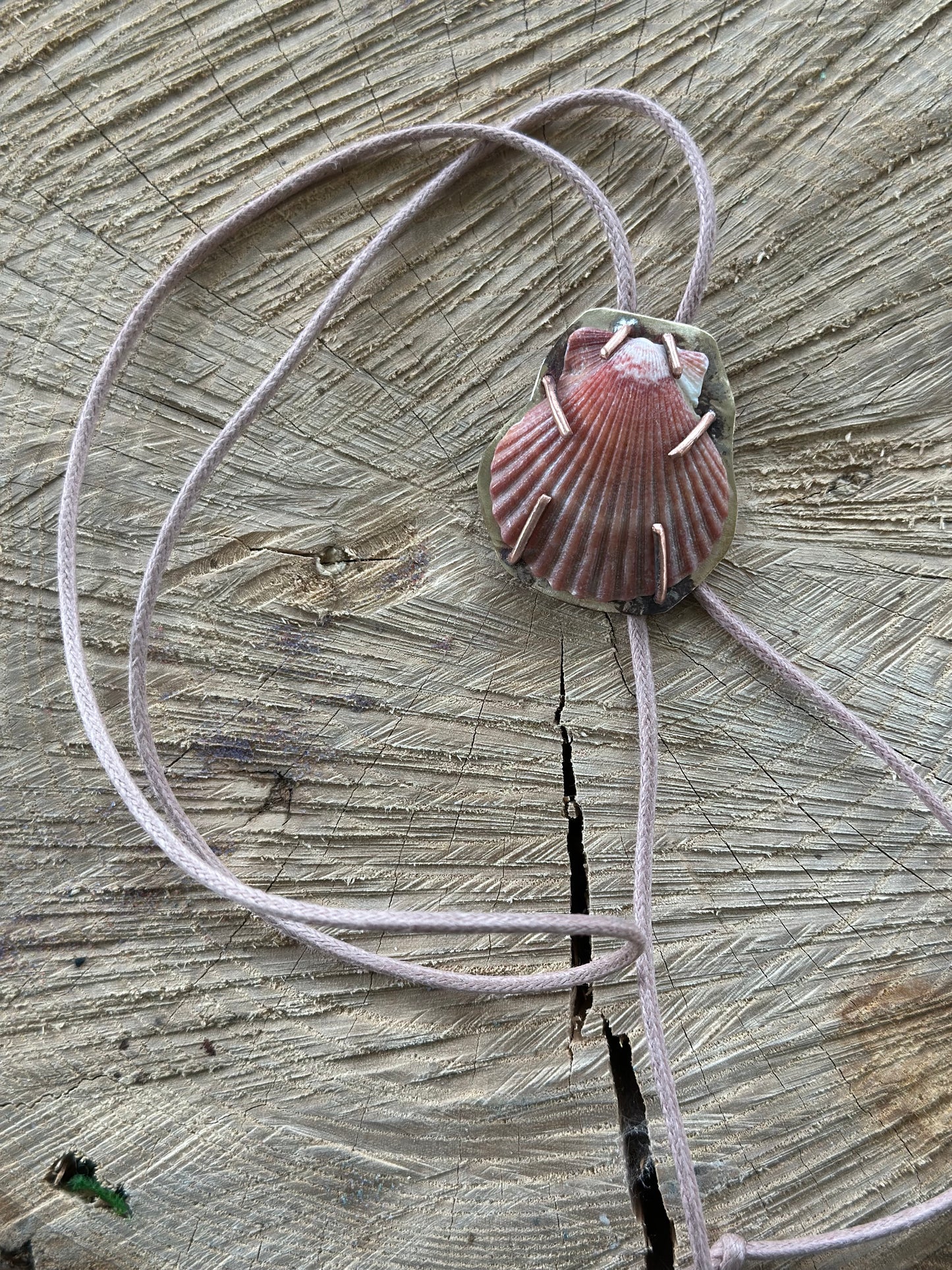 Scallop Bolo Necklace