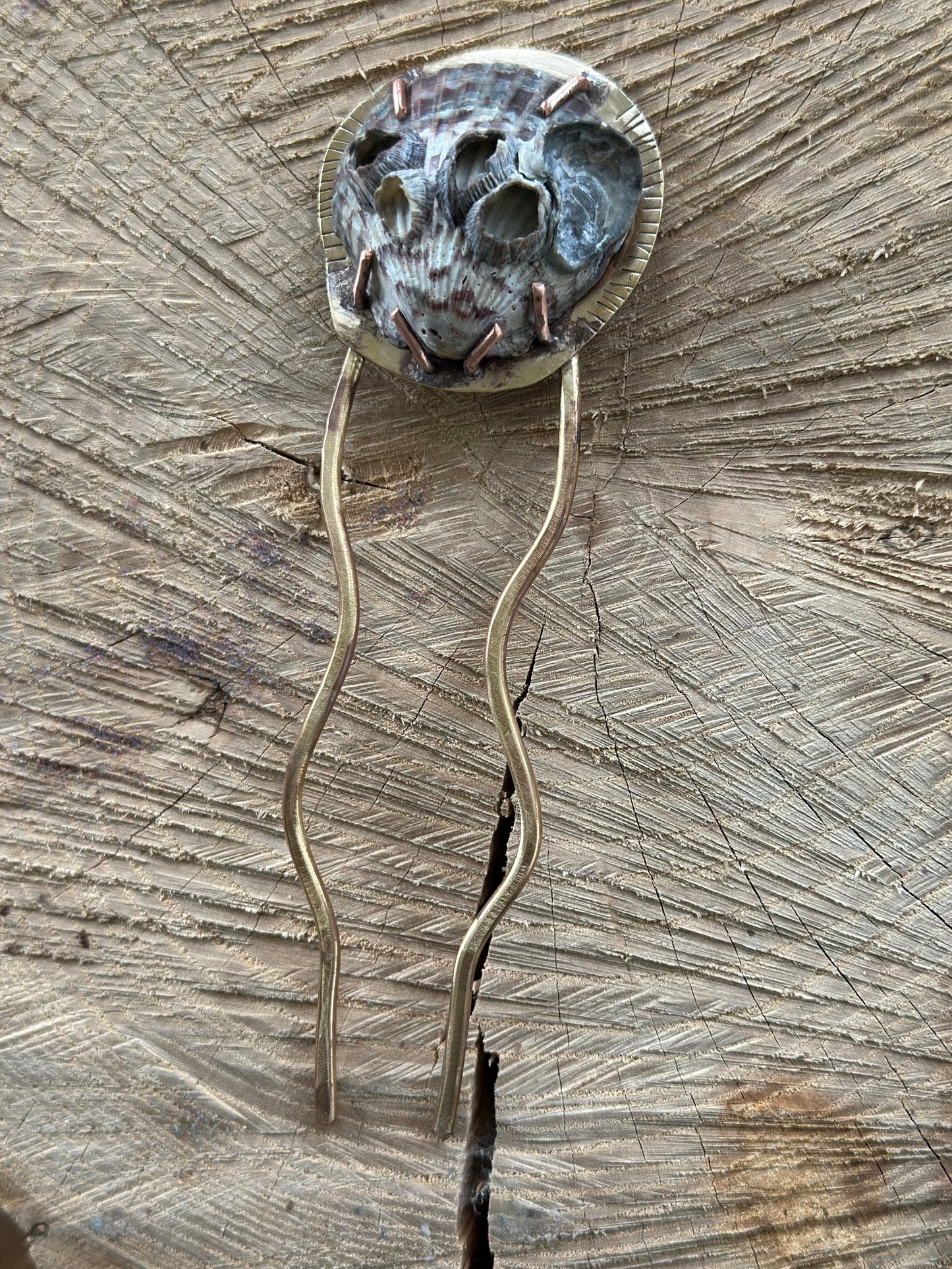 Barnacle and Scallop Hair pin