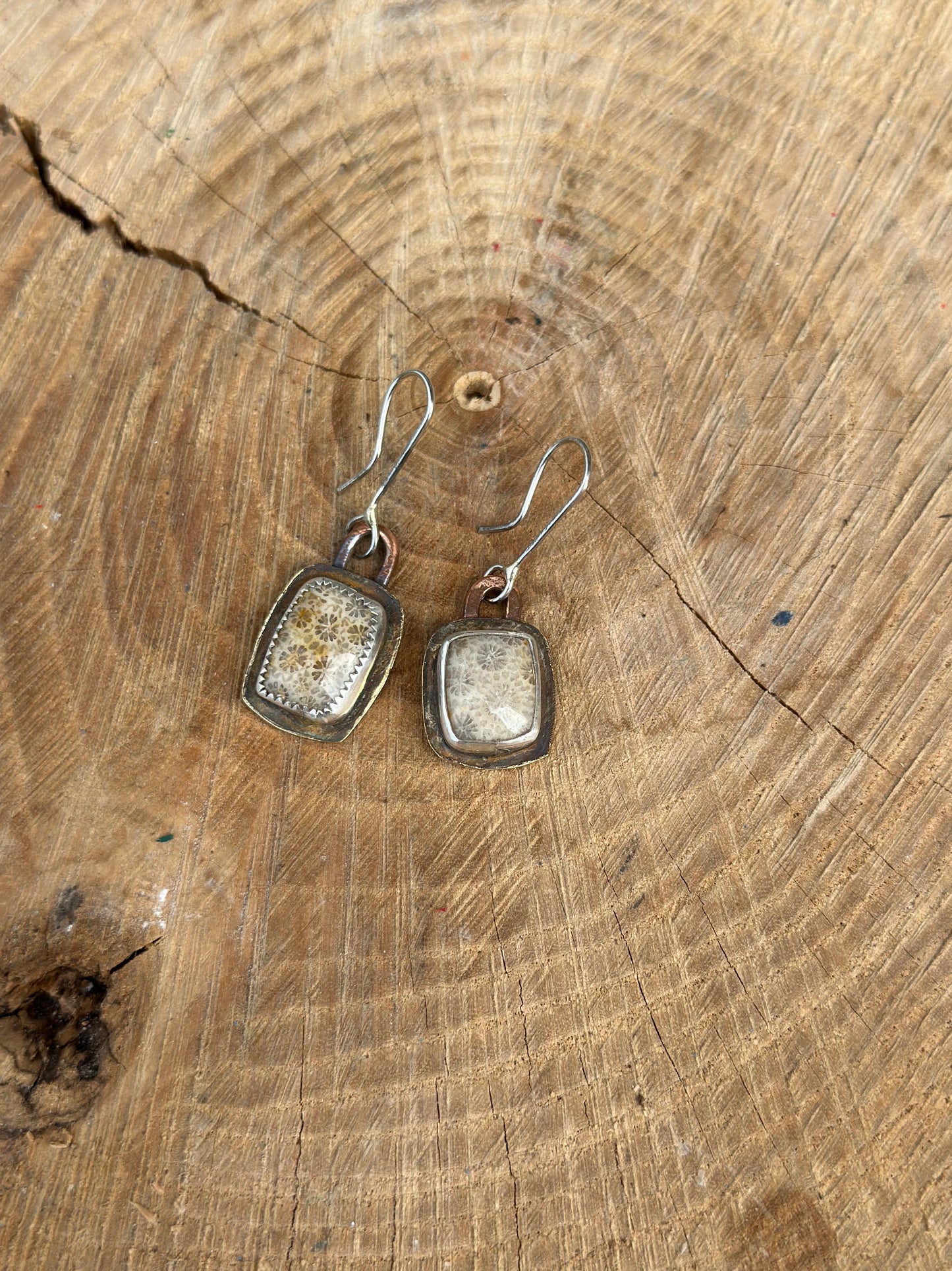 Fossil Coral Earrings