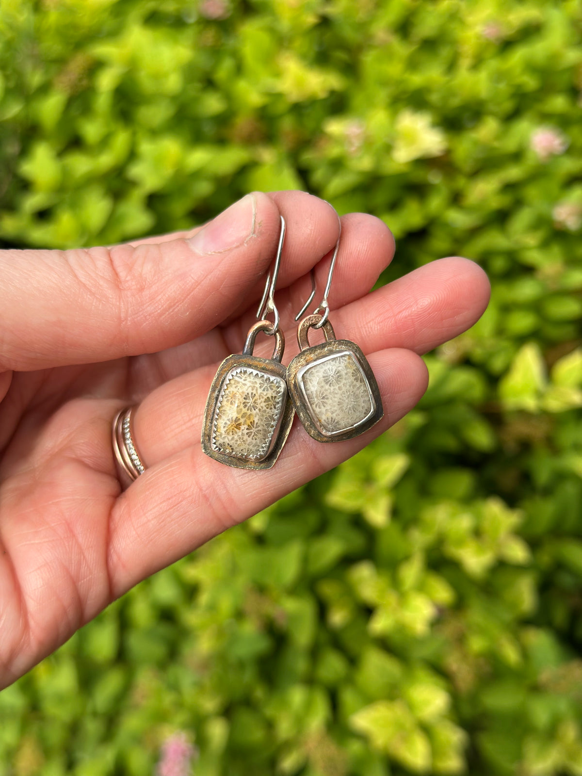 Fossil Coral Earrings