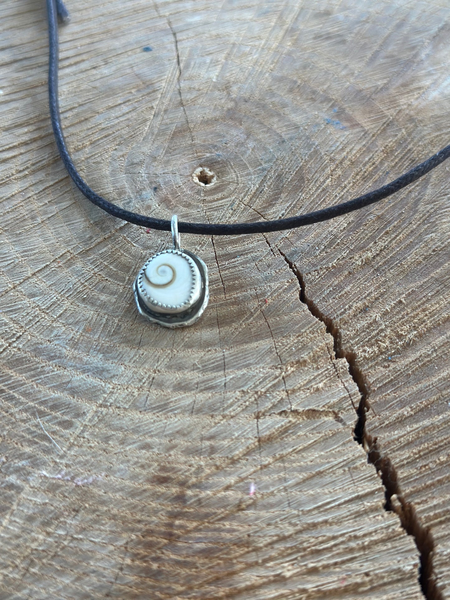 Shiva Eye Seashell Necklace